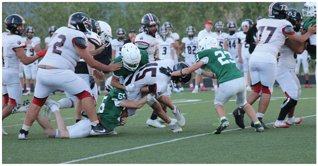 A close-up view of a green artificial turf field with white yard lines. Description generated by AI