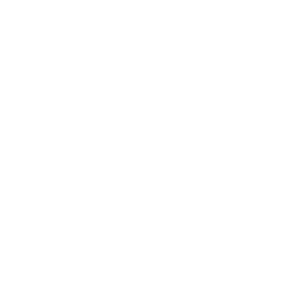 20 26