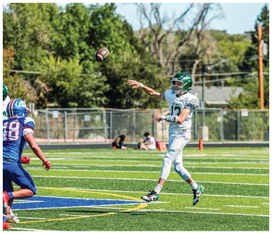 A person in a white football uniform is throwing a football while another person in a blue uniform is running towards them on a green football field. Description generated by AI