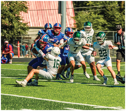 A group of people in blue and white football uniforms are engaged in a tackle on a green field with spectators and coaches watching from the sidelines. Description generated by AI