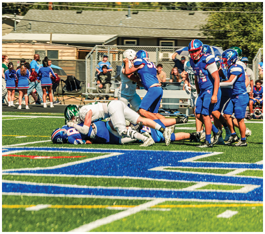 Players in blue and white football uniforms are engaged in a tackle on a green field with cheerleaders and spectators in the background. Description generated by AI