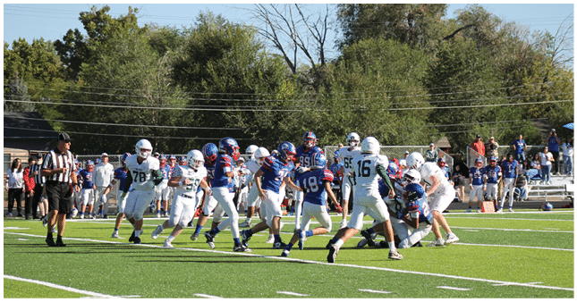 People wearing football uniforms are actively playing a game on a green field with a referee observing nearby and spectators in the background. Description generated by AI