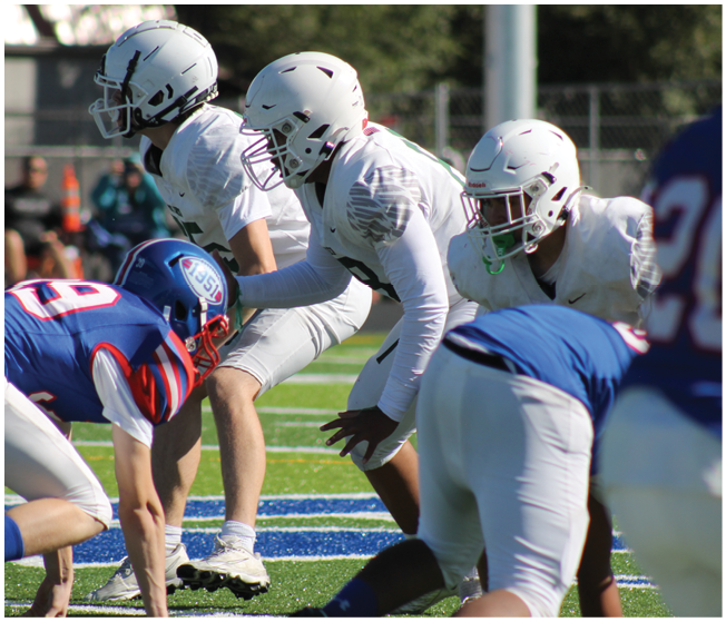Several people in football uniforms and helmets are positioned on a field, preparing for a play during a game. Description generated by AI