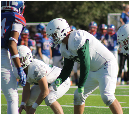 Two people in white football uniforms and helmets are positioned on a green field, preparing for a play, with blurred spectators and other players in the background. Description generated by AI