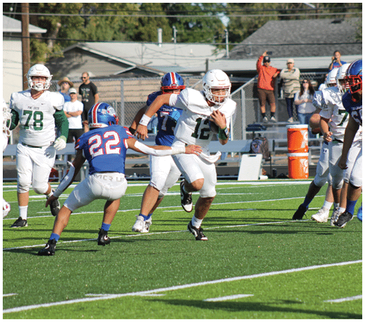 A group of people in football uniforms are actively playing on a green field with some spectators watching from the sidelines. Description generated by AI