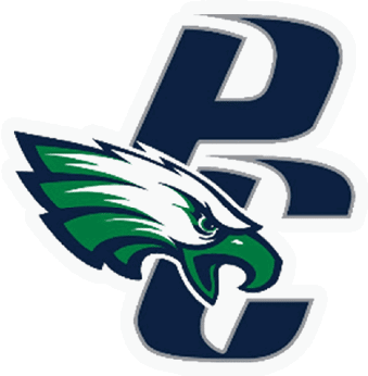 A green and white eagle with a blue P on its chest. Description generated by AI