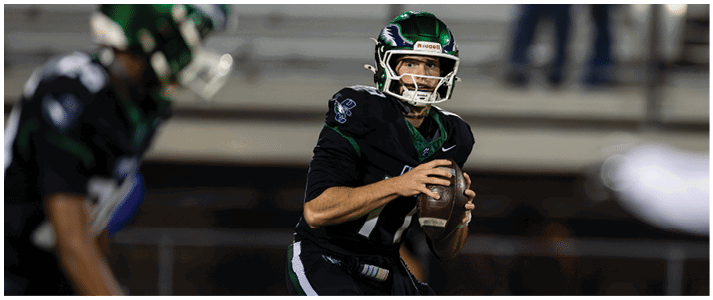 A person in a black sports uniform is holding a football and preparing to throw it during a nighttime game. Description generated by AI
