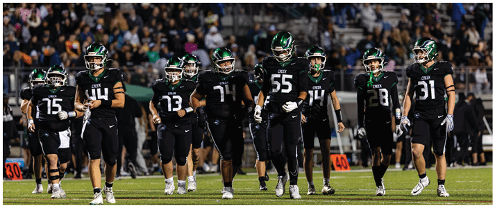 A group of people wearing black sports uniforms and helmets are standing on a field with a crowd in the background. Description generated by AI