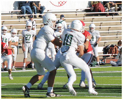 Two people in white football uniforms are engaged in a play on a green field while others in similar uniforms and a few in red uniforms watch from the sidelines and stands. Description generated by AI