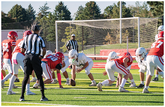 A group of people in football uniforms are positioned on a field with one person holding the ball ready to snap it while a referee observes nearby. Description generated by AI