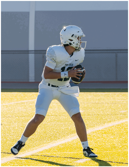 A person wearing a white football uniform and helmet is holding a football and appears to be preparing to throw it on a sunlit field. Description generated by AI
