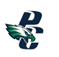 A stylized eagle head in green, white, and blue is positioned in front of large overlapping dark blue letters “P" and "C". Description generated by AI