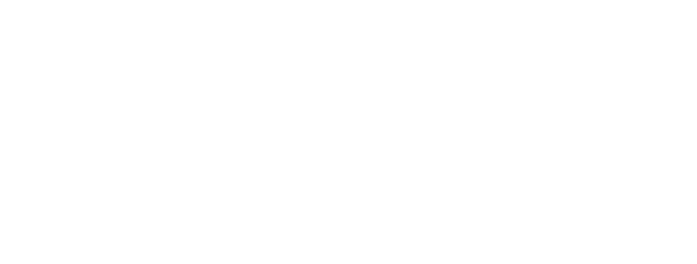 3,TFL,TACKLES,RUSH YDS,55,18