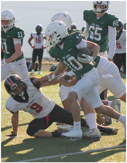 Several people wearing football uniforms are actively playing on a sunlit field with one player on the ground and others running nearby. Description generated by AI