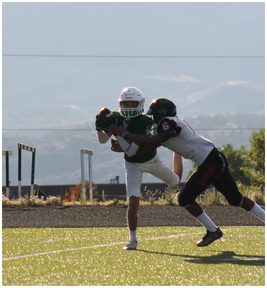 Two people in football uniforms are competing on a field with one person catching the ball while the other attempts to block or tackle. Description generated by AI