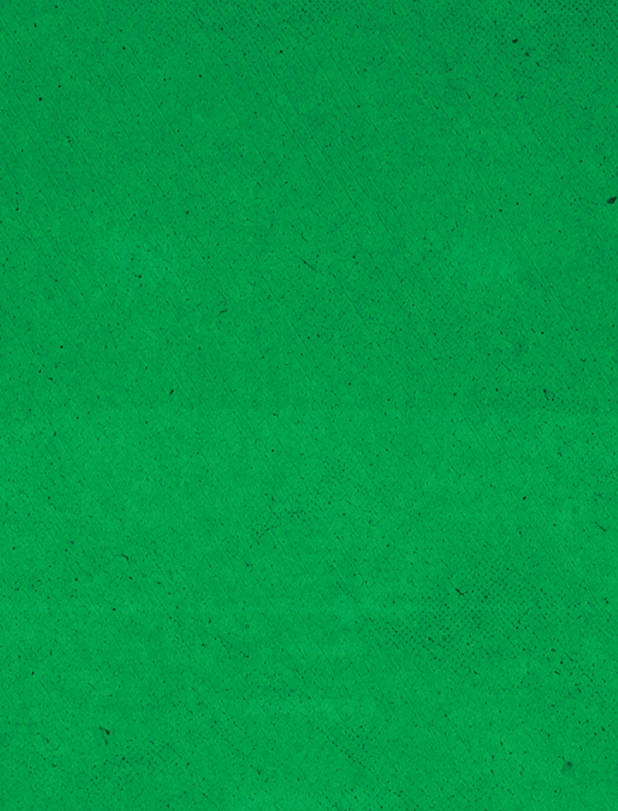 Green background with a white border. Description generated by AI
