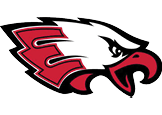 A stylized eagle head logo with bold black outlines and red accents on the beak and feathers. Description generated by AI