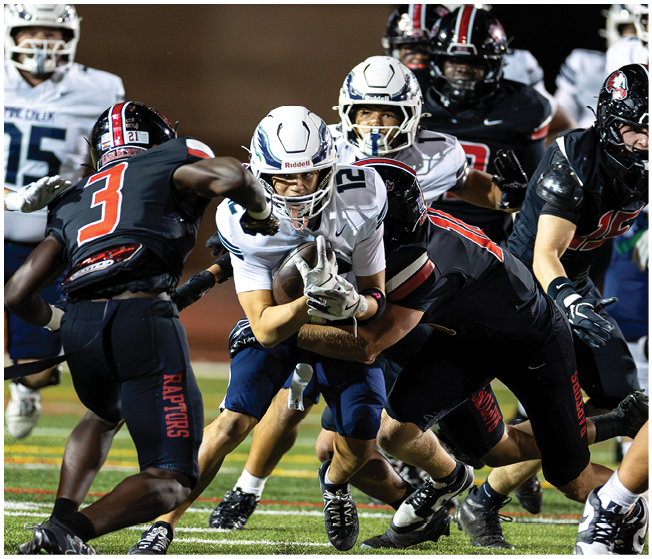 Several people in football uniforms are engaged in a tackle on a field during a game. Description generated by AI
