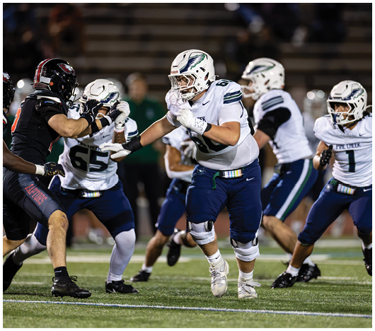 Several people wearing football uniforms are actively engaged in a play on a football field during a game. Description generated by AI