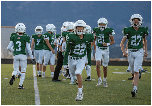 A group of people wearing green and white football uniforms and helmets are standing and walking on a football field. Description generated by AI