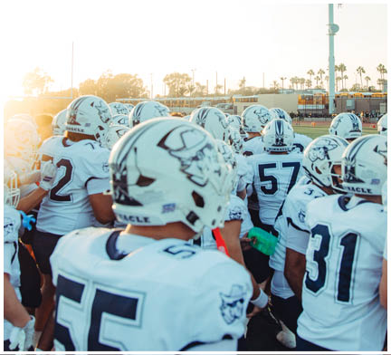 A group of football players huddled together on the field. Description generated by AI