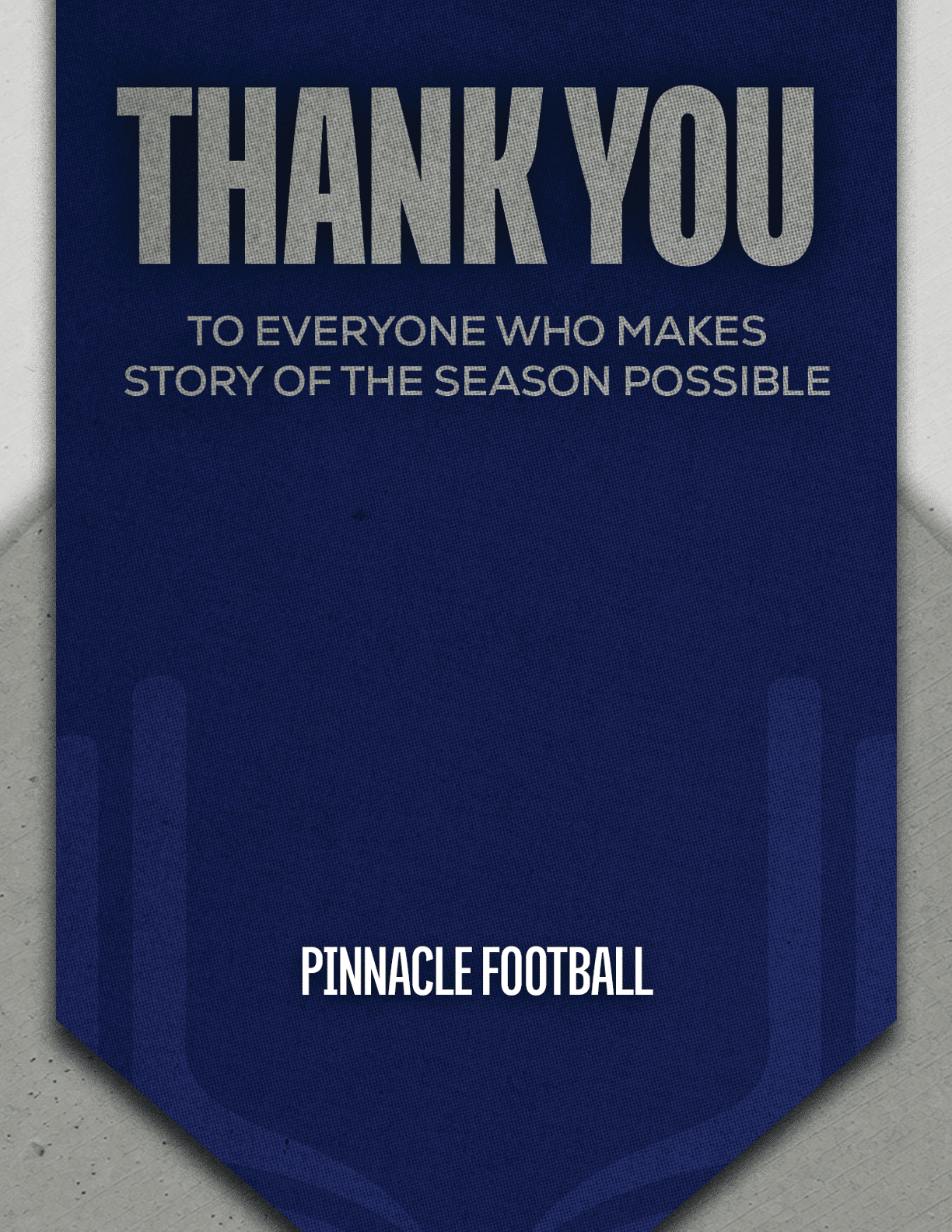 A blue and red banner with the words “Esterro Football" written on it. Description generated by AI