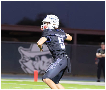A football player wearing a blue and white uniform. Description generated by AI