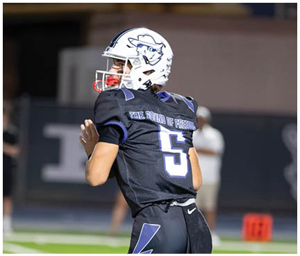 A football player wearing a blue and white uniform. Description generated by AI