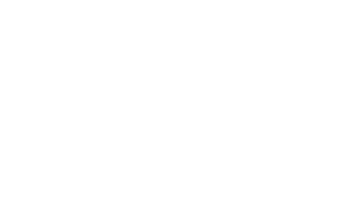 PHOENIX INDEPENDENT