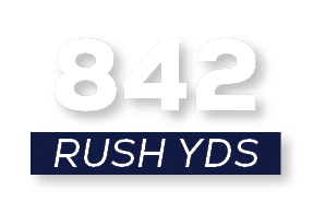 RUSH YDS,84