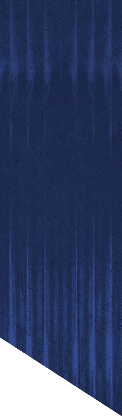 A blue and white patterned wallpaper. Description generated by AI