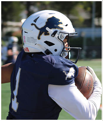 A group of football players celebrating a touchdown. Description generated by AI