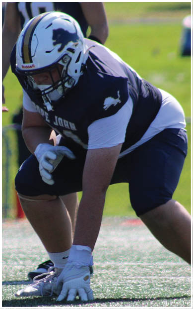 A football player wearing a blue and red jersey. Description generated by AI