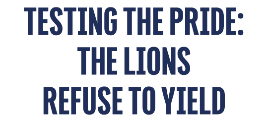 Testing the Pride: The Lions Refuse to Yield