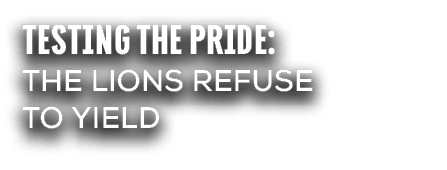 Testing the Pride: The Lions Refuse to Yield