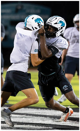 A football player catching a ball. Description generated by AI