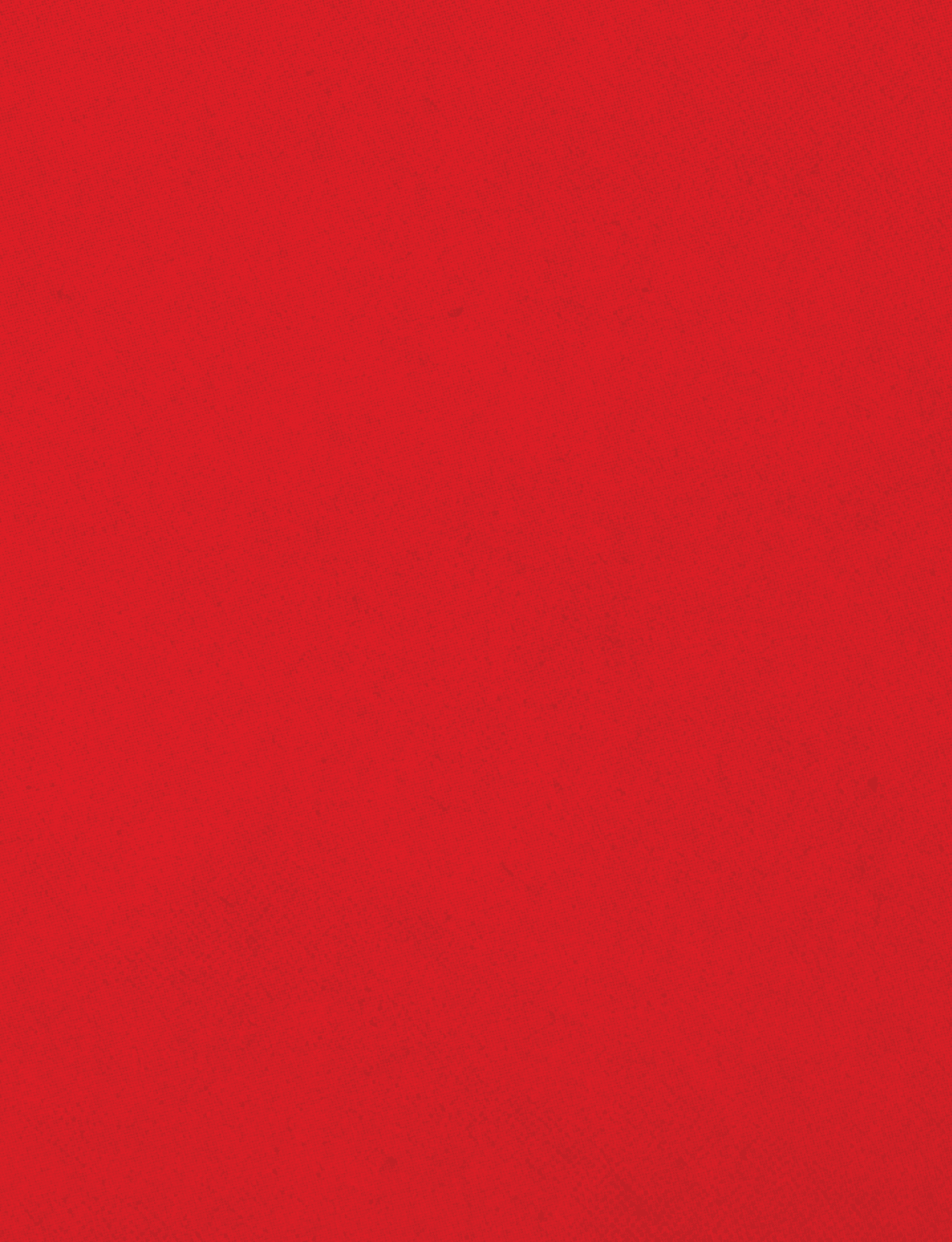 A red cloth with a red border. Description generated by AI