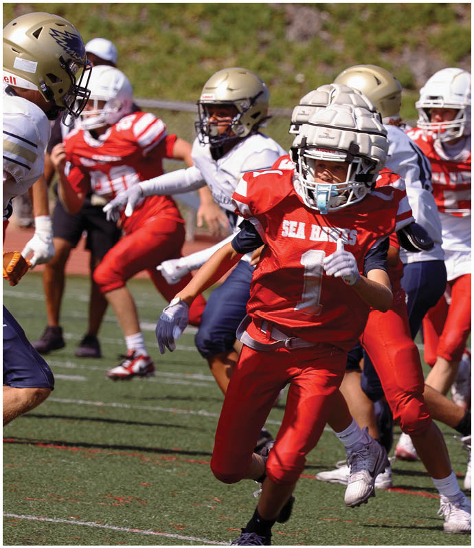 Three football players in blue and white uniforms running on a field. Description generated by AI