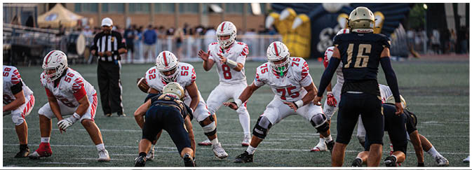 A football game is taking place on a field with players wearing blue and white uniforms. Description generated by AI