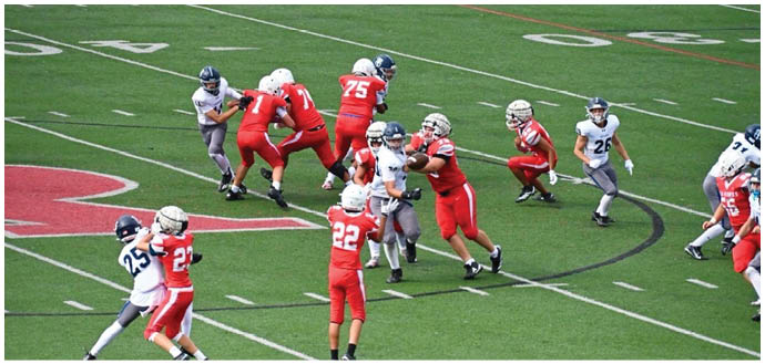 A football player wearing a blue and white uniform. Description generated by AI