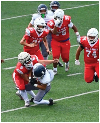 A football player catching a ball. Description generated by AI