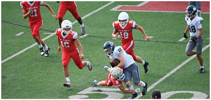 A football player wearing a blue and white uniform. Description generated by AI