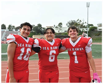 A group of football players on a field. Description generated by AI
