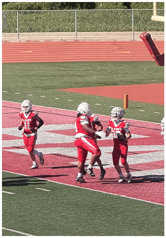 A football player catching a ball. Description generated by AI