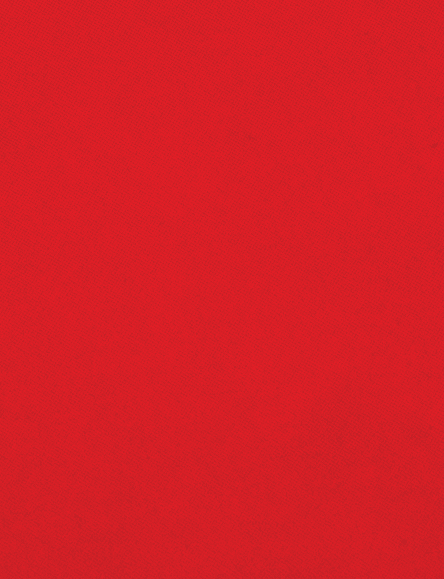 A red cloth with a red border. Description generated by AI