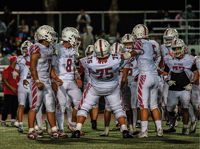 A group of football players in black and white uniforms are on the field. AI generated content