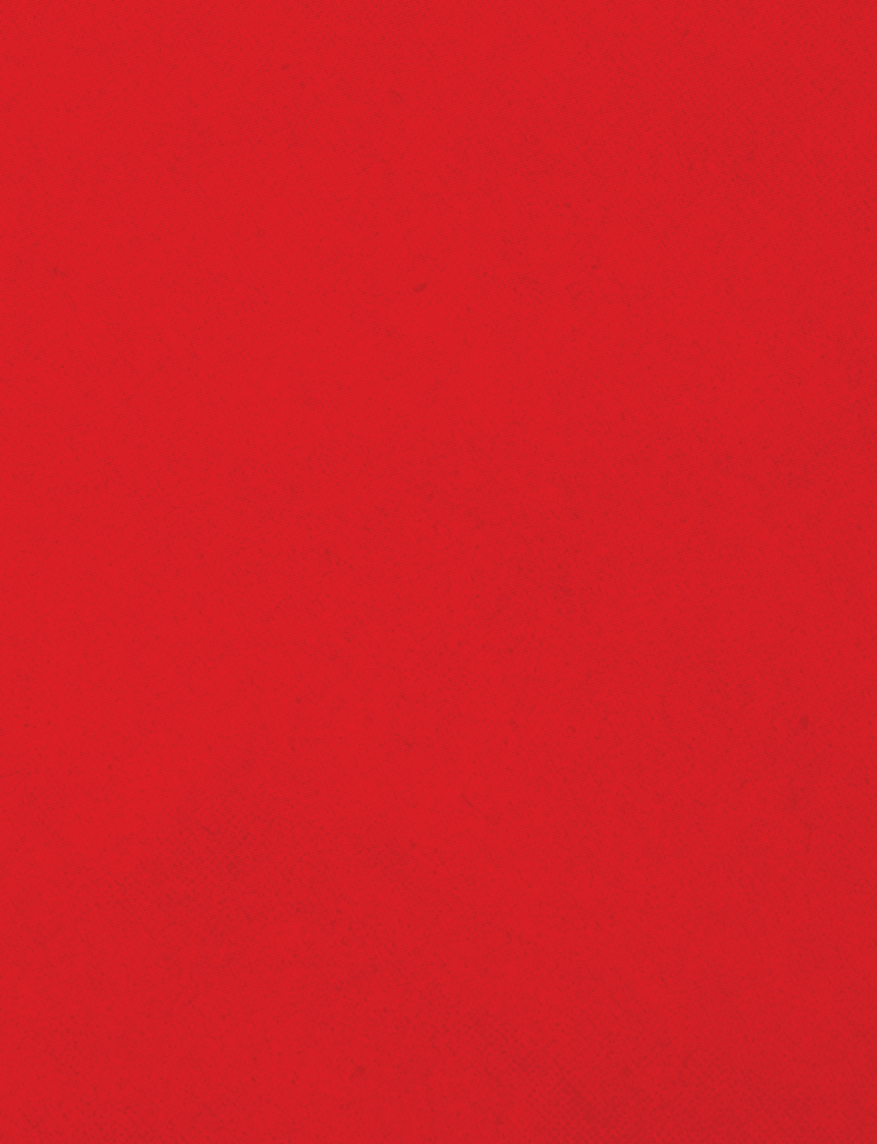 A red cloth with a red border. Description generated by AI