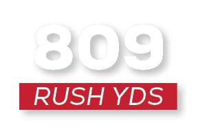 RUSH YDS,80