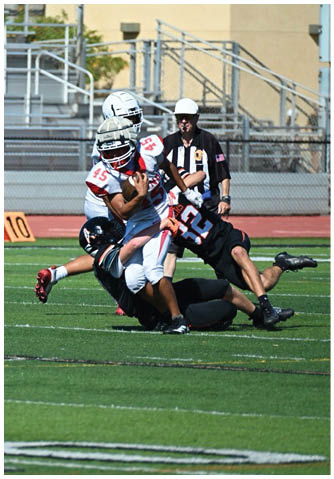 A football player catching a ball. Description generated by AI