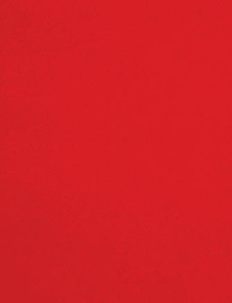 A red cloth with a red border. Description generated by AI